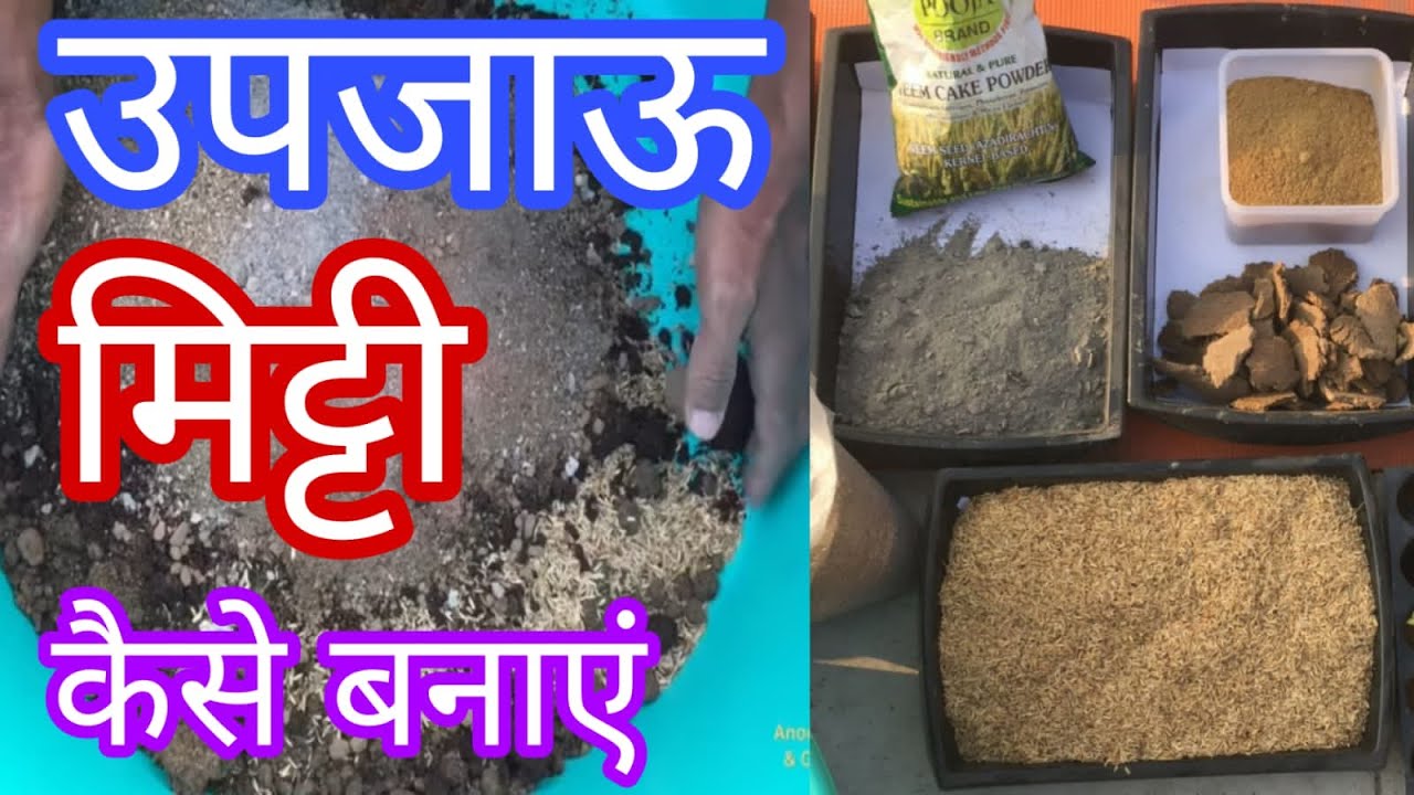 गमले के लिए मिट्टी कैसे बनाएं How To Make Potting Soil - YouTube