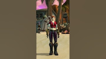 Vi and Caitlyn but in Vanilla WoW instead of League of Legends