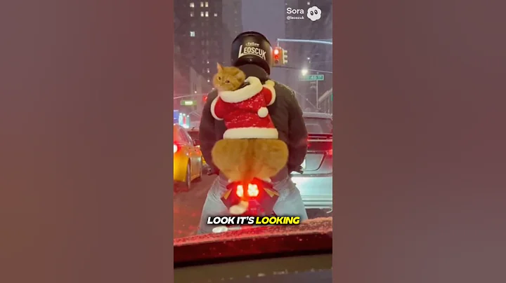 POV You’re Just Waiting and This Happens