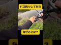 バス釣りしてたら#shorts #バス釣り