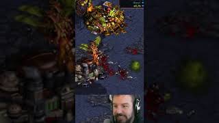 Infested Terran Detonation! | #falconpaladin on #Twitch and #YouTube #broodwar #starcraft