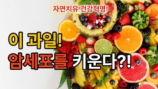 자연치유 | 세포가 좋아하는 과일은? 혈당 폭탄이 부른 충격의 진실!