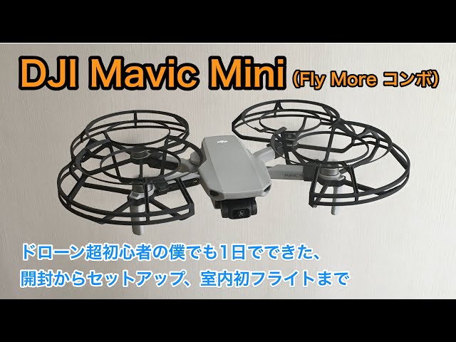 DJI Mavic Mini (Fly More Combo) Review: From Unboxing to Setup and
