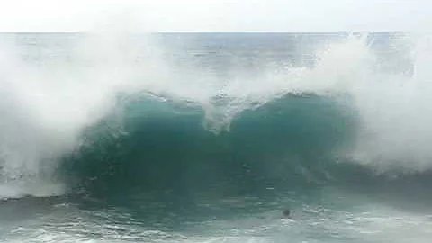 Beau's first time at Waimea Bay