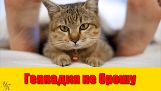 Геннадия Не Брошу! Интересные Истории