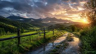 After the rain