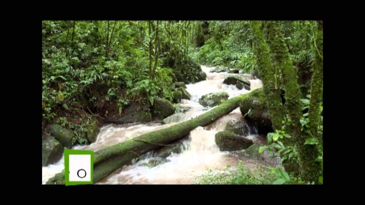 camera iphone 8 plus apk VIVA MISIONES FERIA DE TURISMO 2014