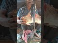 ভেটকি মাছ কাটছে #youtubeshorts #vetkipaturi #fishingvideo #fishcutting_skills #viralshorts