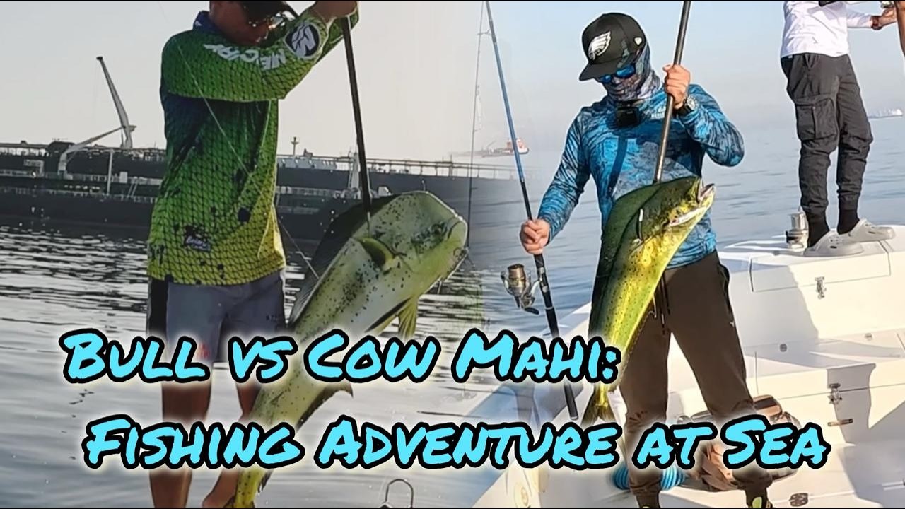 Giant Bull Mahi Mahi Caught! FJR Deep Sea Fishing Adventure Ep.10| #fishing #fishingtrip #outdoors