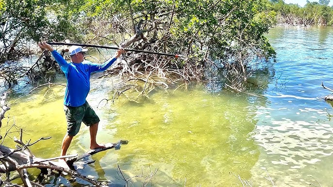 World Record size Tilapia with a Throw Spear! (Extreme Catch