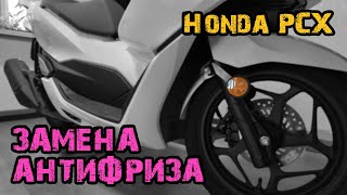 видео: Гараж 7. Замена антифриза в Honda PCX 🐦 картинка: Гараж 7. Замена антифриза в Honda PCX 🐦