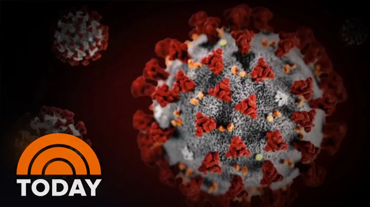 US Intelligence Officials Split On COVID-19 Origins