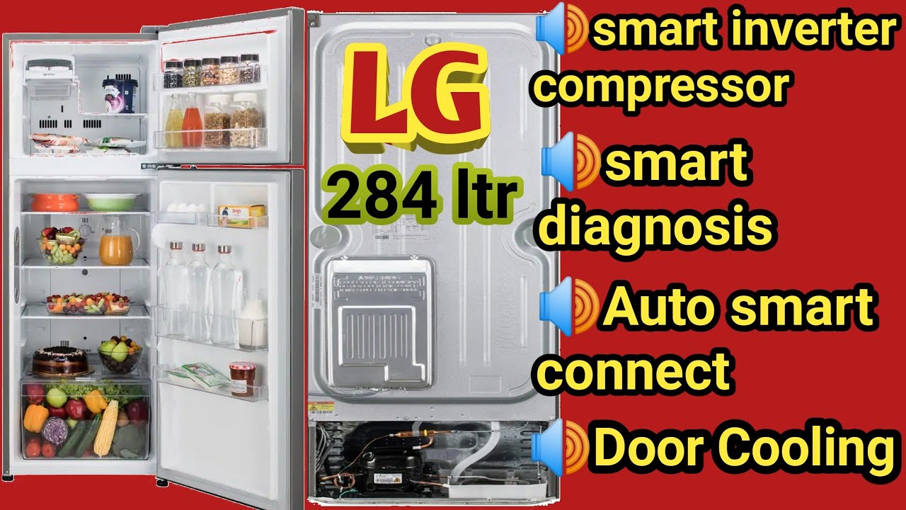 Lg refrigerator 284 ltr full demo and review /Best refrigerator in