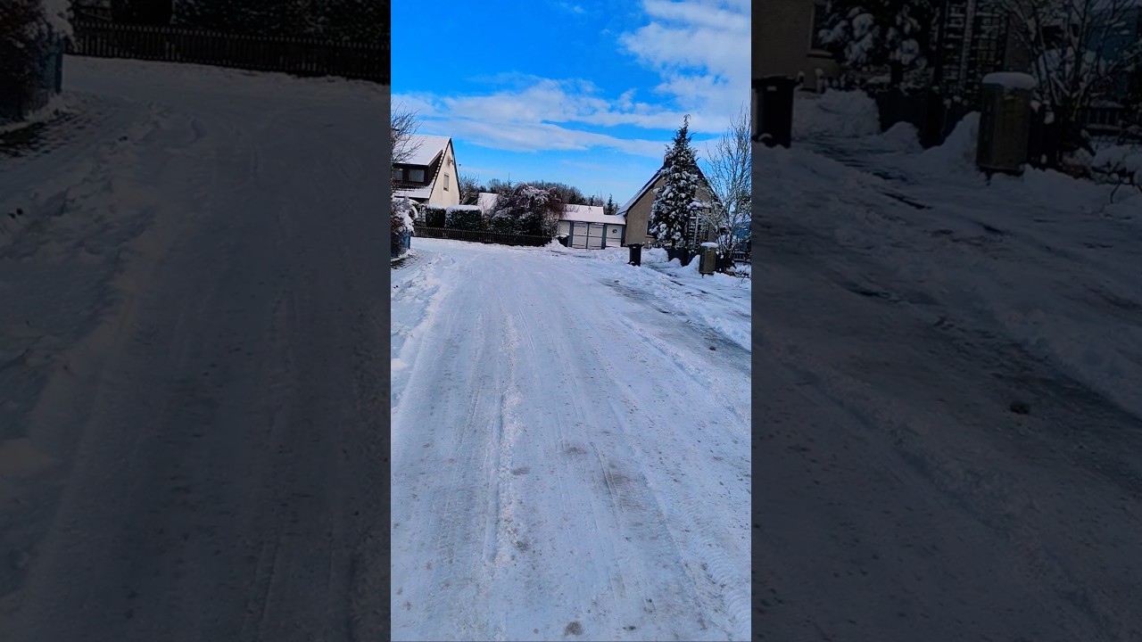 ❄️Гріла під серцем вовчат молода вовчиця 🐺❤️ #ауф #волчица #сніг