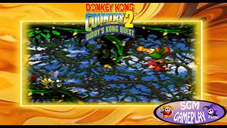 BRAMBLE BLAST-KREM QUAY-WORLD 2-6-DONKEY KONG COUNTRY 2, DIDDYS KONG QUEST