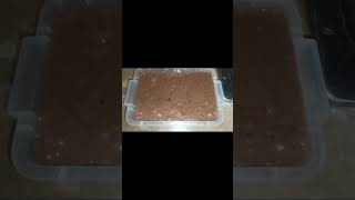 look2cook shortsvideo karachi pakistanyoutube icecreamchocolate favorite subscribers yummy