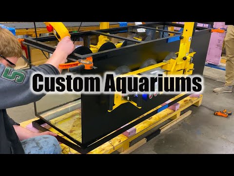 How Custom Aquariums Are Made | Full Factory Tour (Plus New Tank!)