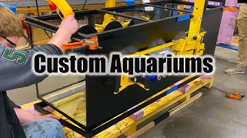 How Custom Aquariums Are Made | Full Factory Tour (Plus New Tank!)