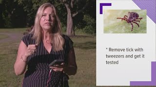Tracking the new frontier for deer ticks in Maine