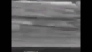 Piano man turtle vine