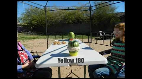 Yellow Melon Video