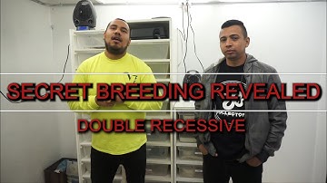 RARE DOUBLE RECESSIVE PAIRING  |WITH GENOMIC_LABS|