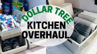 EXTREME🤯DOLLAR TREE UNDER SINK REDO! / Small Kitchen Organizing Hacks