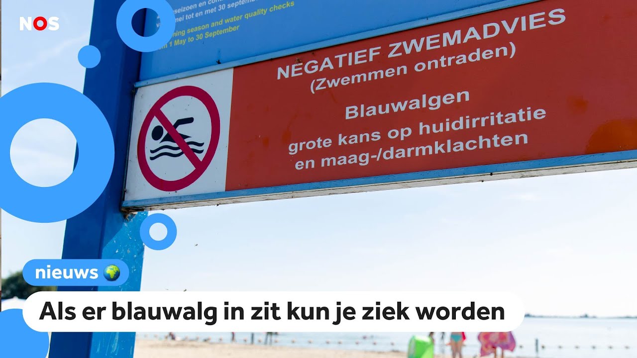 Zwemwater wordt op steeds meer plekken slechter