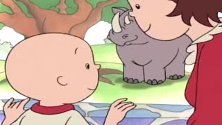 Caillou et L'aventure au Zoo | Caillou en Français