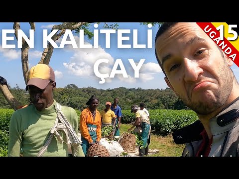 Video: De 15 bästa sakerna att göra i Uganda