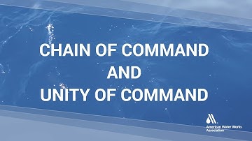 Chain of Command & Unity of Command