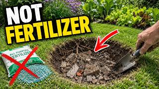 Nothing Grows in This Spot — Here Are the 7 Reasons Fertilizer Won't Fix It