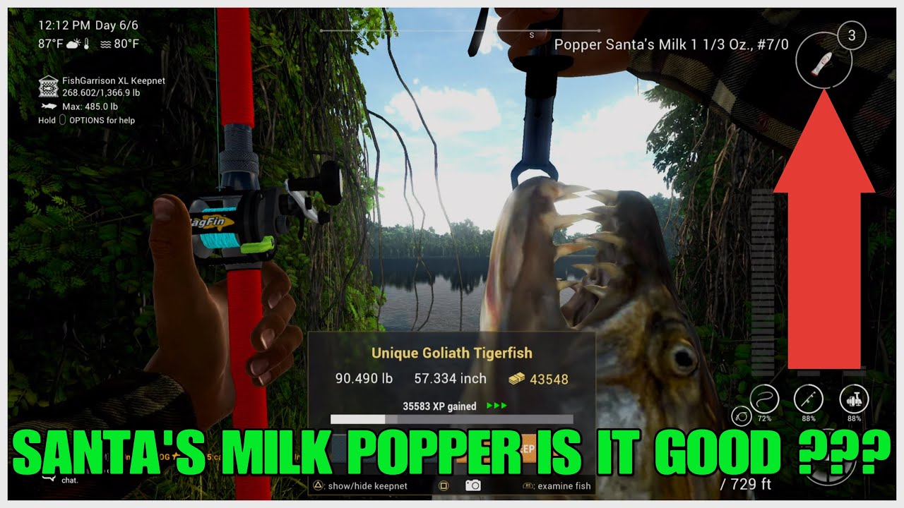 Santa's Milk Popper Unique Tiger Fish Guide Congo River Fishing