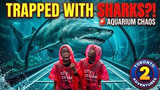 WE ALMOST GOT TRAPPED UNDER THE SHARKS?! 🦈🚨 | Toronto Summer Adventures #2 WE ALMOST GOT TRAPPED UNDER THE SHARKS?! 🦈🚨 | Toronto Summer Adventures #2