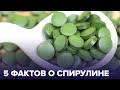 Суперфуд для космонавтов: кому полезна СПИРУЛИНА?