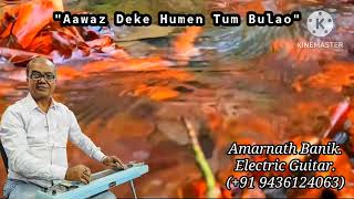 Awaz Deke 733  Professor  Instrumental electric Steel Guitar Cover  Amarnath Banik