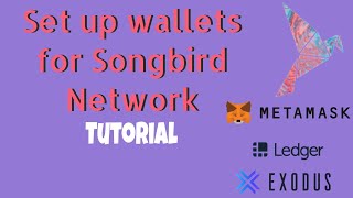 Set up wallet and connect to Songbird Network screenshot 1