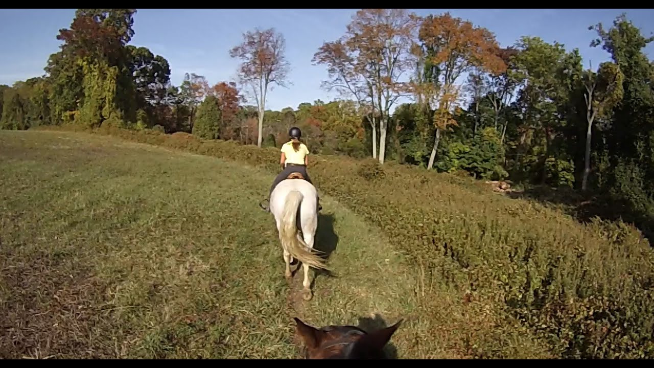 GOPRO HORSEBACK RIDING FALL TRAIL RIDE (AT LANCASTER EQUESTRIAN) YouTube