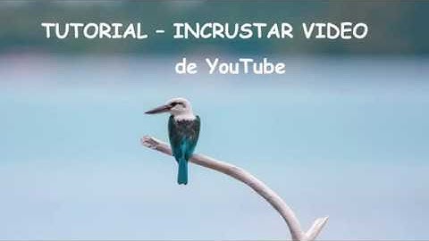 INCRUSTAR VIDEO YOUTUBE en un curso Moodle con el código HTML