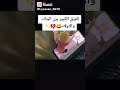 فرق كبير بين ولد و بنت فرق كبير بين ولد و بنت