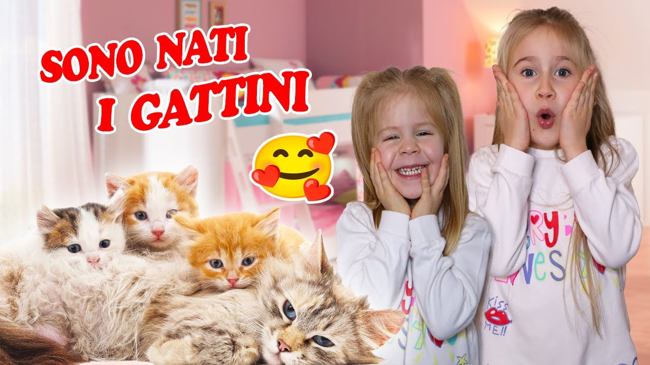 ERIKA E VANESSA SCOPRONO CHE LA GATTA DELLA NOSTRA AMICA HA PARTORITO! ERIKA PIANGE!