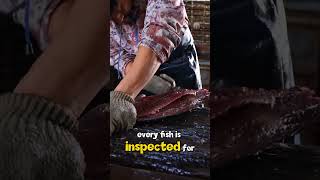 Inside Japan’s Massive Fish Processing Factory #facts #youtubeshorts #viralvideo #viral #shorts