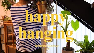 【Plants vlog】IKEA購入品で我が家を更にジャングルに, 観葉植物で室内緑化、hanging pots