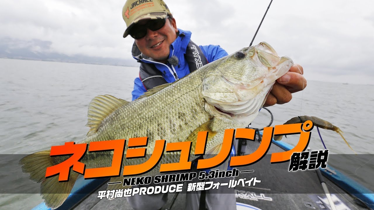 18 新作 おすすめバス釣りワームまとめ 今年の人気ルアー10選はこれ 暮らし の