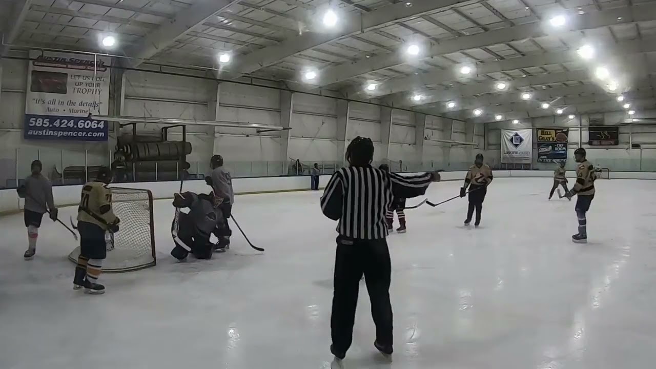 OVer 40 goalie Vlog Rochester Icehogs