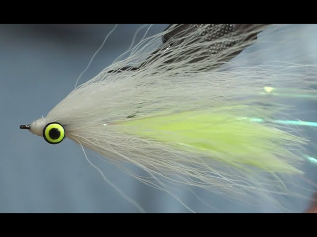 Silky Minnow - Underwater Footage - Freshwater or Saltwater