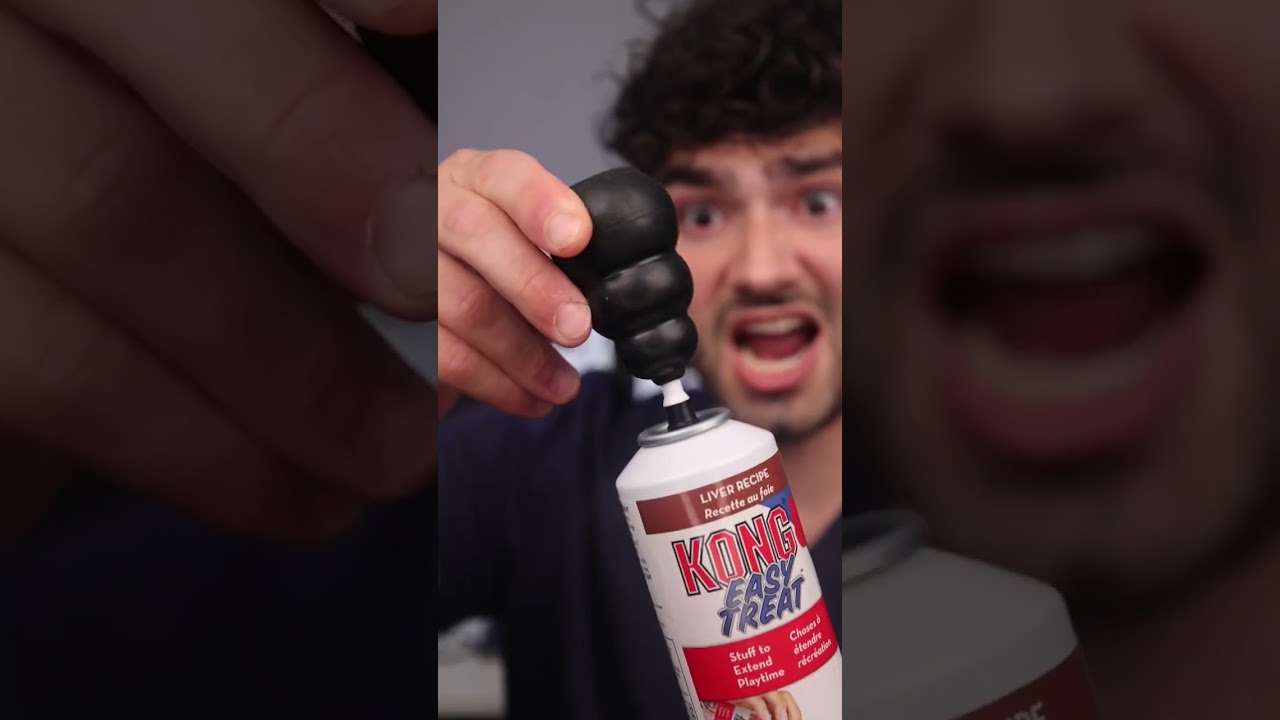 Weenie Dog Breath Cleaning!? YouTube