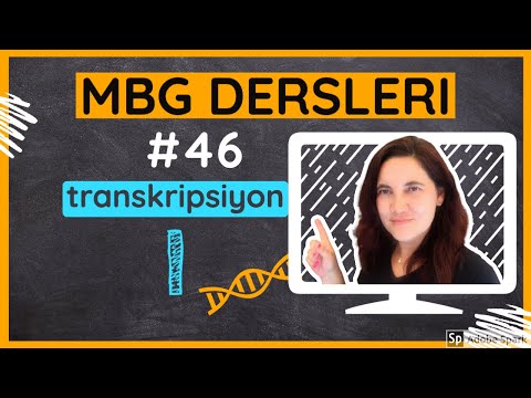 Moleküler Biyoloji ve Genetik Dersleri #46: Transkripsiyon I