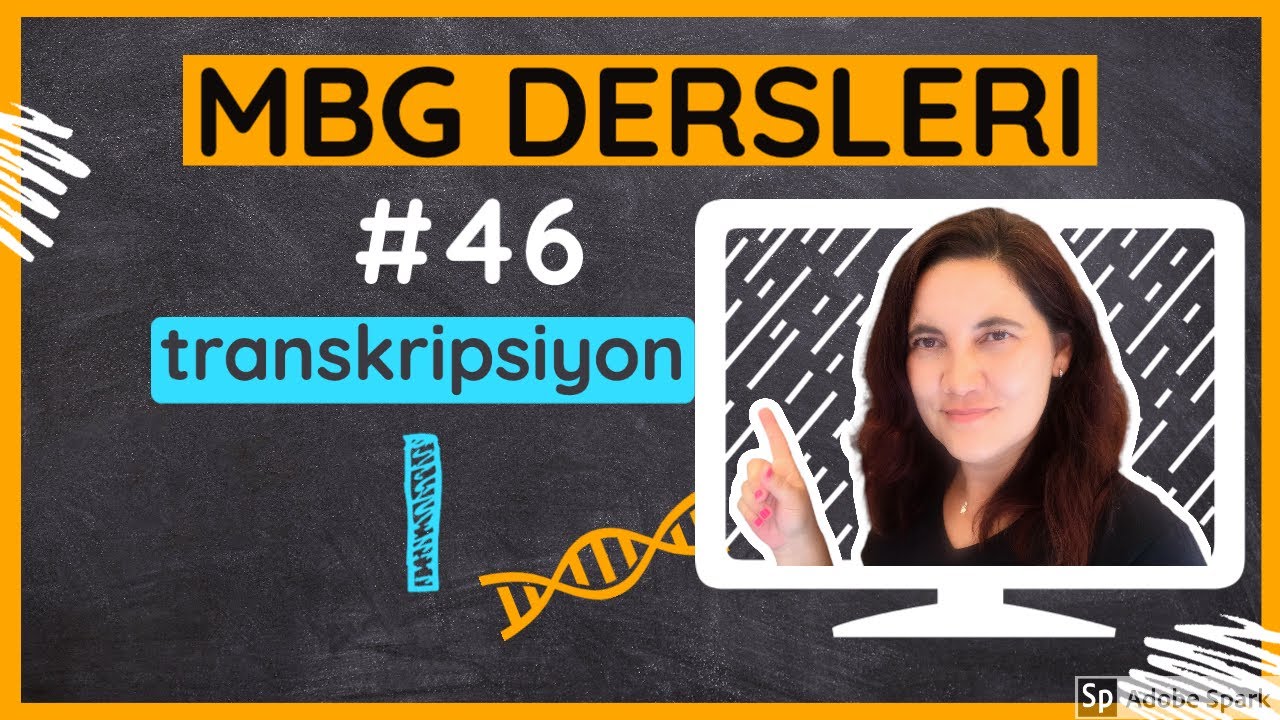 Moleküler Biyoloji ve Genetik Dersleri #46: Transkripsiyon I