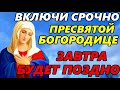 11 апреля ВКЛЮЧИ СЕЙЧАС ОСОБЫЙ ДЕНЬ БОГОРОДИЦЫ! Сильная Молитва Пресвятой Богородице